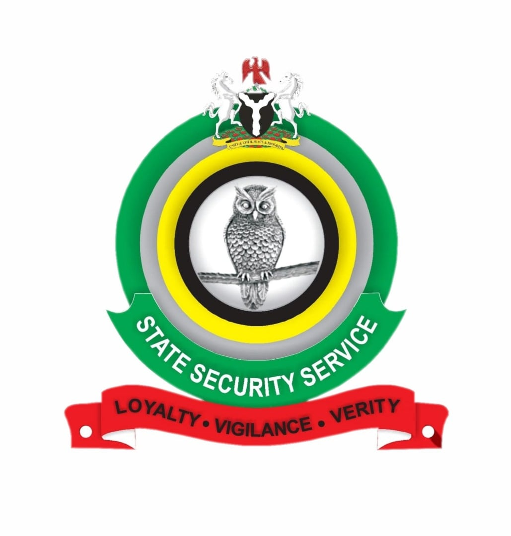 Police withdrawal: DSS officers lobby for VIP escort roles