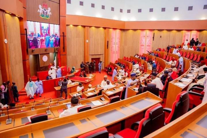 Senate committee screens Fani-Kayode, Dambazau as ambassador-designates